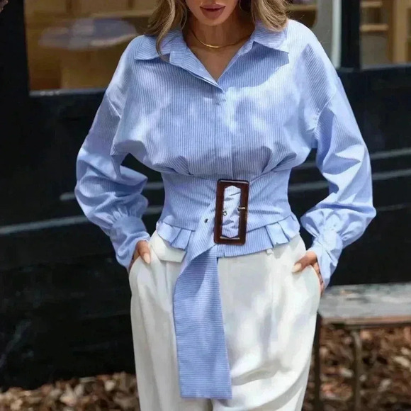 Multicolor Elegant Women's Pleated Waist Slimming Puff Sleeve Striped Blouse - Picture 4 of 6